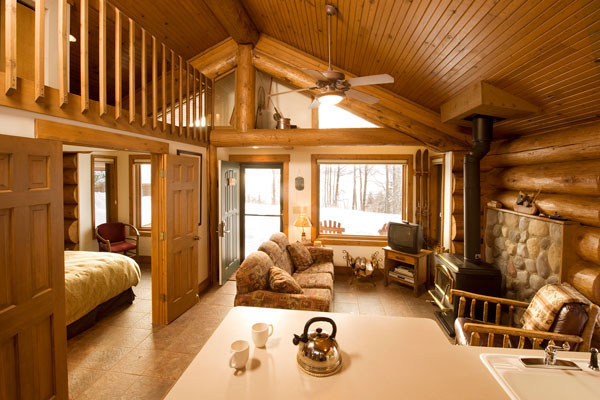 Cabin living room with vaulted ceiling